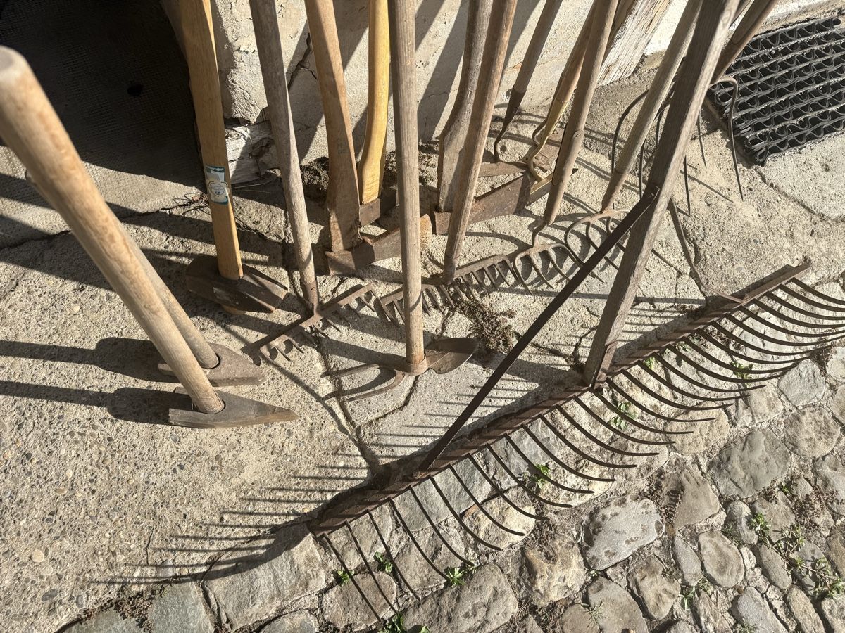 Tutti gli attrezzi: Gartenwerkzeug  – Usato da Schafisheim venduto da Flawiia 2