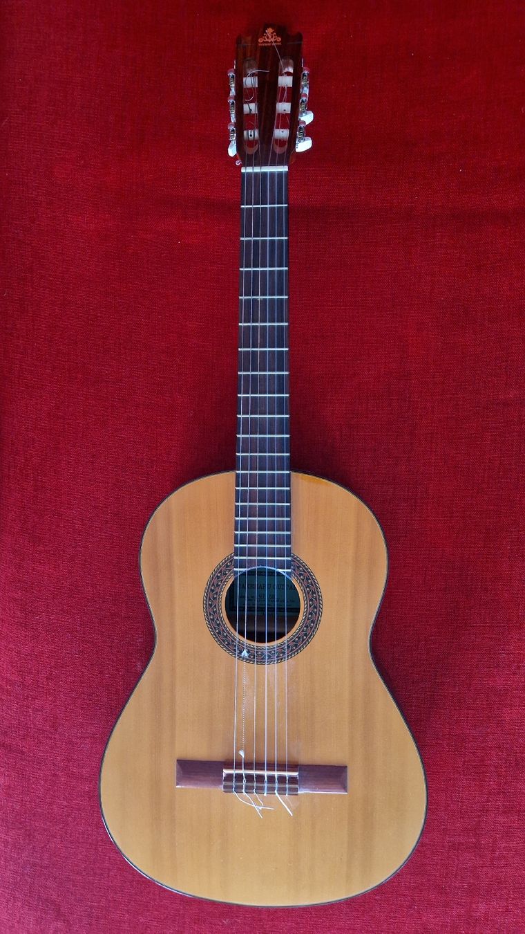 Strumenti musicali: Takeharu Guitar  Gt85 + case – Usato da Zug venduto da erge111