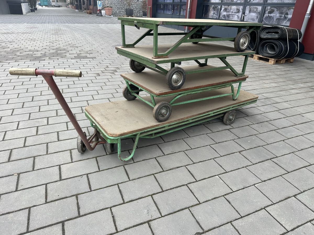 Carrelli di trasporto: Robuster Transportwagen /Lagerwagen – Usato da Rümlang venduto da Gartenbau25 3