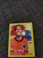 panini NED 3 