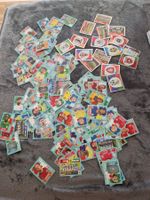 Panini Bilder WM 2026 official licensed product
