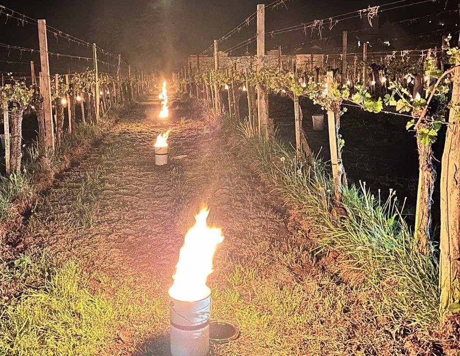 Candele: Frostkerze / Frostschutz – Nuovo e nell'imballaggio originale da Ramsen venduto da Ryserwein