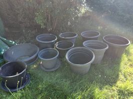 Blumentöpfe rund 10 stk