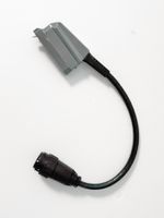 Adapterkabel Elinchrom - Elinchrom ranger RX - Studioblitz