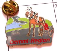 Pin Pferd  Gemmi Region