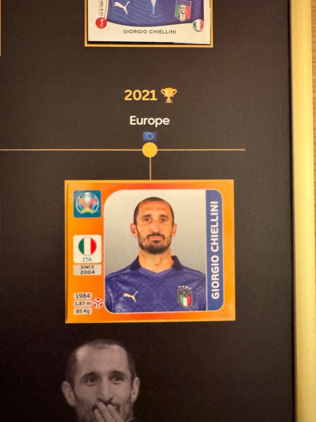 Panini Carte collezionabili: Panini-Plakat Giorgio Chiellini – Nuovo (secondo la descrizione) da Stettlen venduto da DieTaube2.0 4