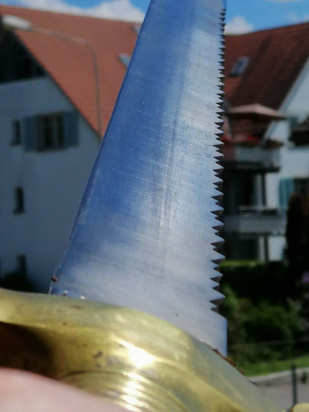 Armi bianche: FASCHIENEN MESSER KANT. BERN – Usato da Maschwanden venduto da OliverM05 2