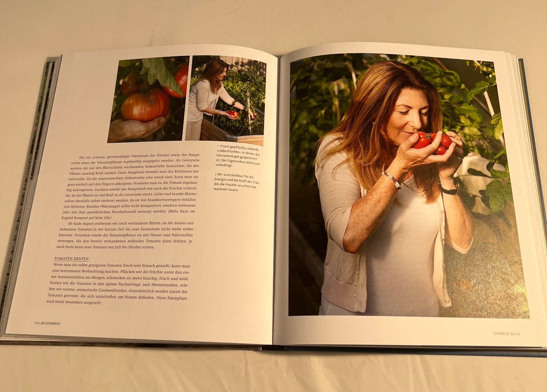 Libri: The Lazy Gardener, Gartenratgeber, Buch – Usato da Zürich venduto da Drahtzug 2