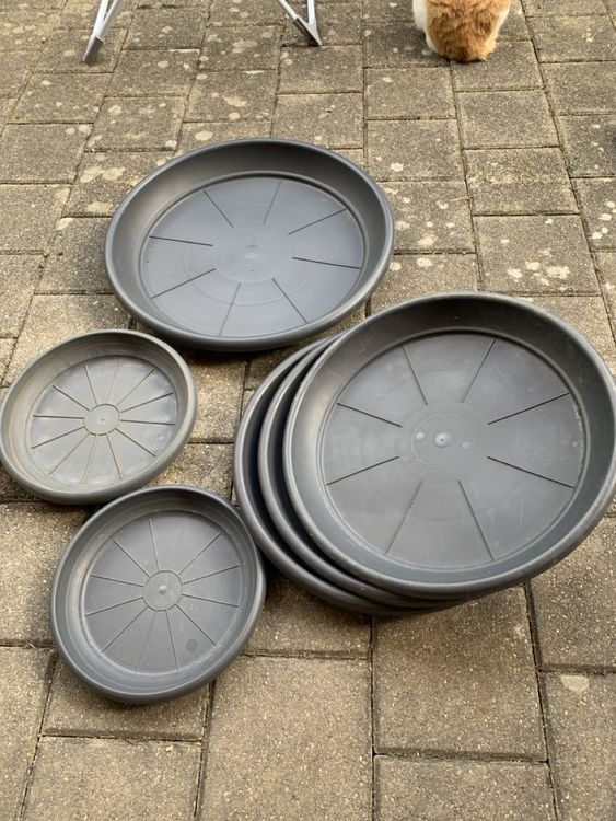3 Untersetzer Anthrazit 25cm - Für Blumentöpfe Bis 30cm