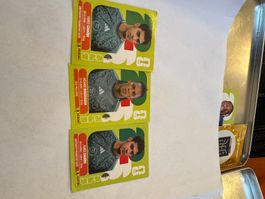 Panini set 2026