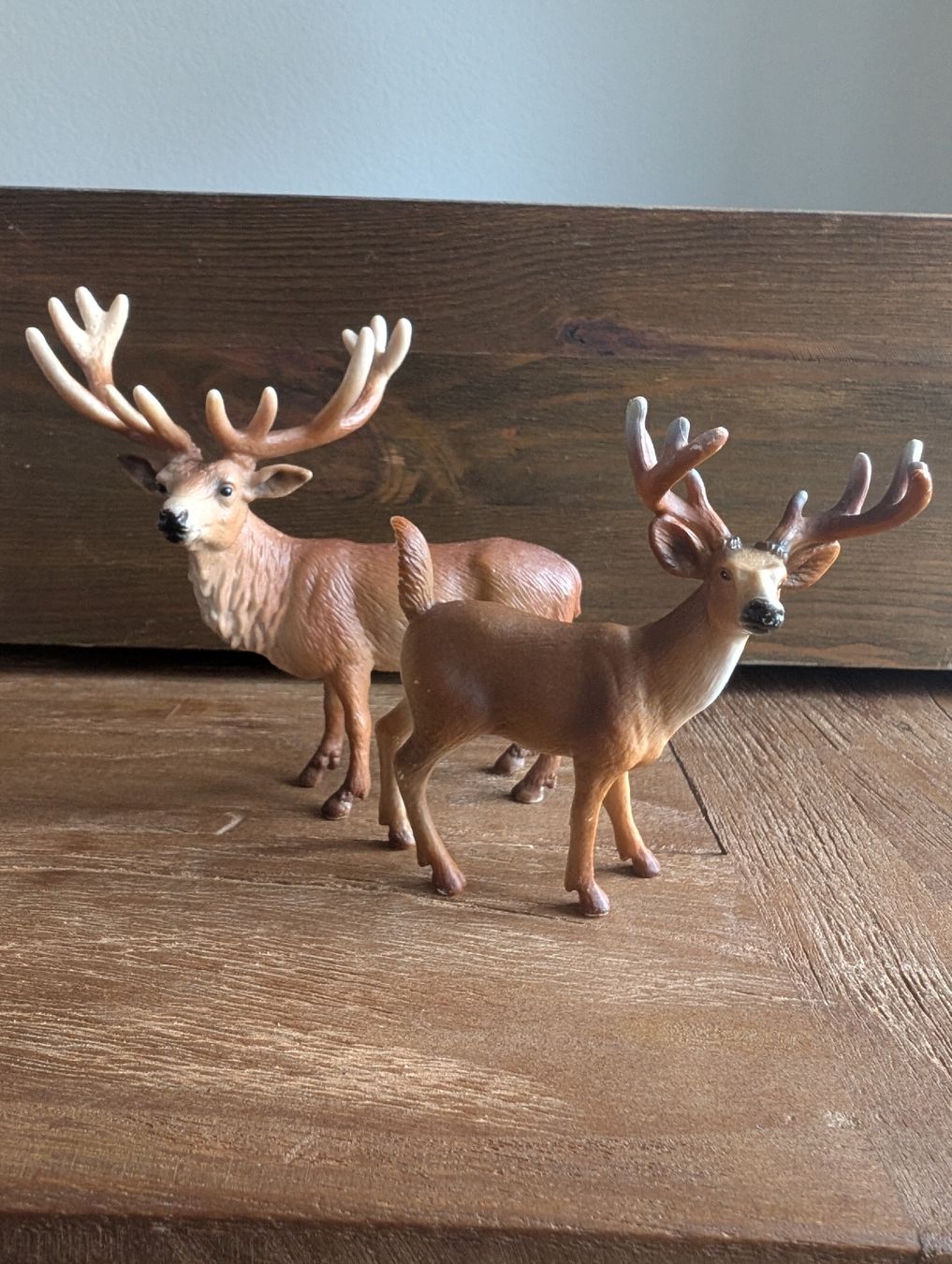 Schleich Spielzeuge: Schleich-Set Waldtiere – Gebraucht aus Schaffhausen von RamonaPK 1