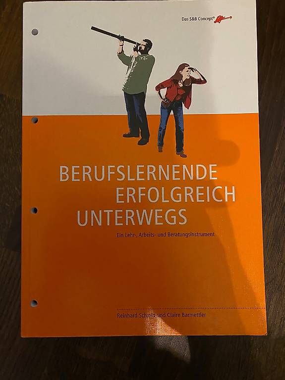 Libri: Berufslernende erfolgreich unterwegs – Usato da Uerkheim venduto da bue_8qbh