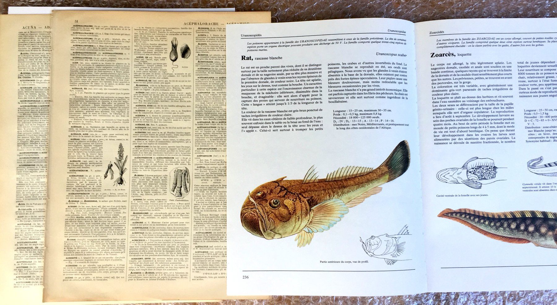 Libri: ephemera 8/papier collage bastelpapier scrapbooking +Versand – Usato da Pully venduto da websurfer1 4
