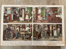 Knabe Entwicklung Vintage Schaubild 1923 antike Buchseite
