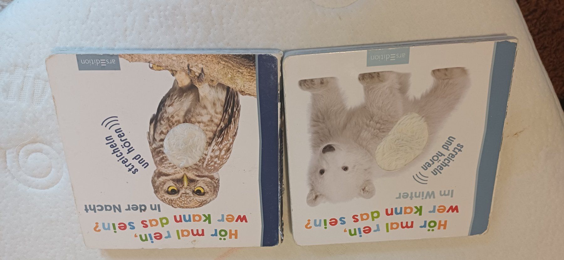 Bücher: 6x bucher – Gebraucht aus Riniken von Lessy- 5
