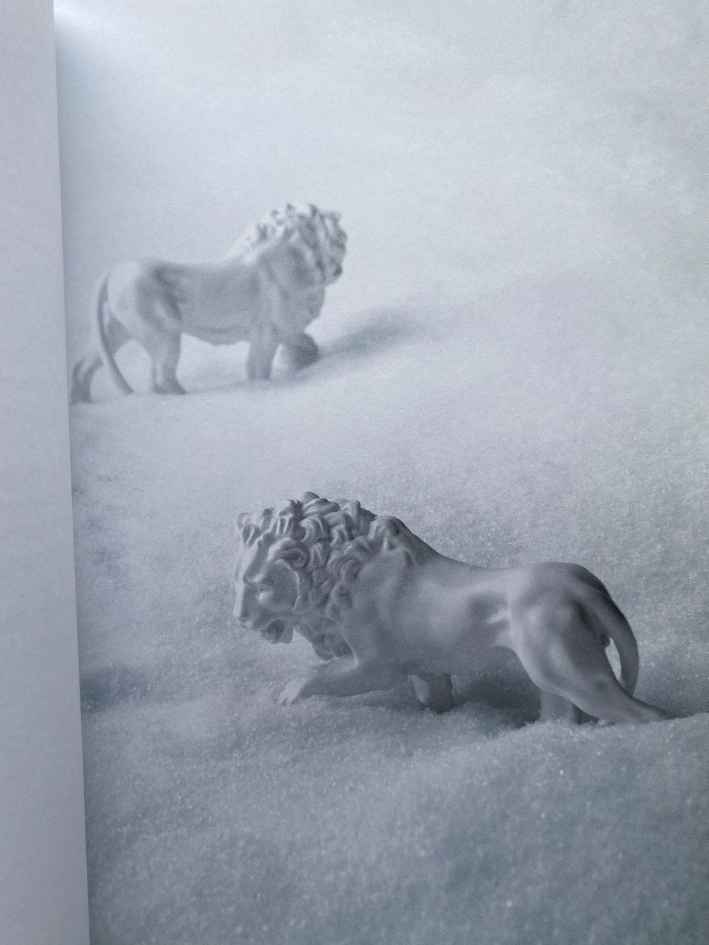Libri: CHANEL -  NEIGE - Bijouterie - Look book -  Katalog – Usato da Zürich venduto da lesgarcons