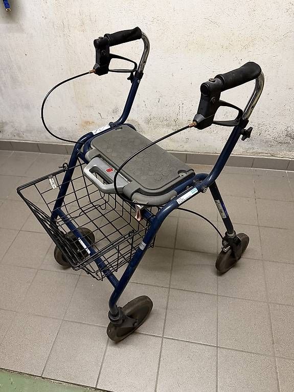 Gehhilfen: Rollator Dolomite Legacy 600 – Gebraucht aus Bern von dexter123