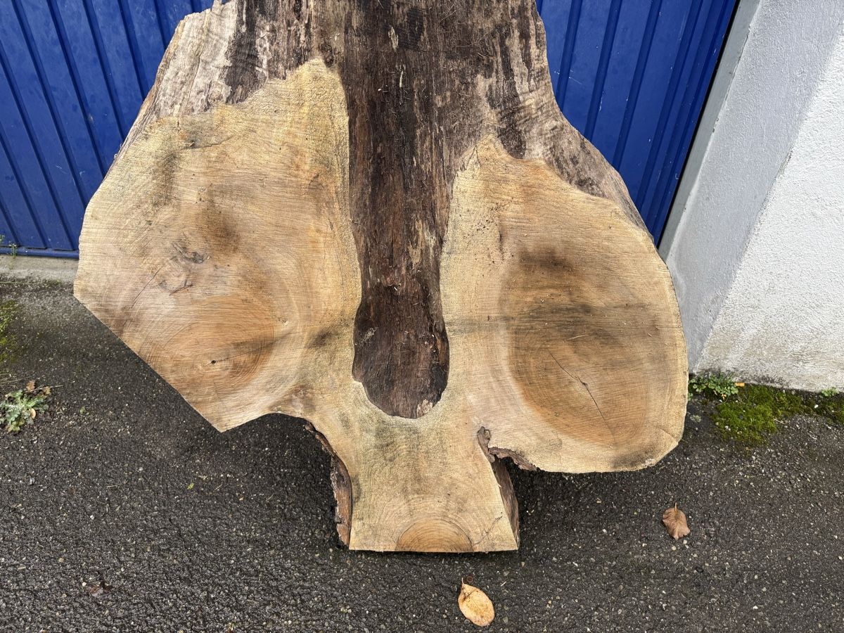 Articoli in legno: Nussbaum Klotzbrett 260  cm lang! – Usato da Gränichen venduto da onkel_xxl 9