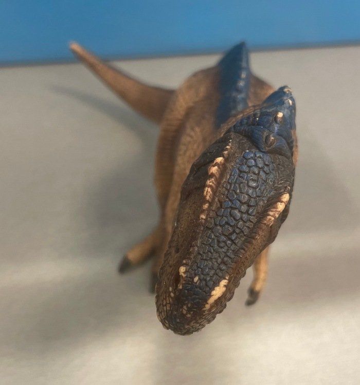 Schleich Spielzeuge: Schleich Dinosaurier Acrocanthosaurus – Gebraucht aus Sirnach von sagrotin 4