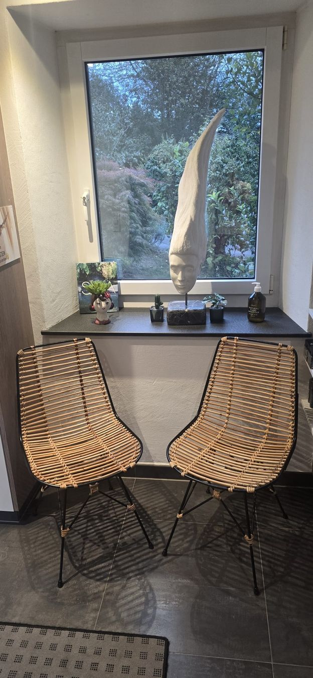 Chaises: 2 Rattan Stühle mit Metallgestell – D'occasion à Brugg AG par Bahoz02