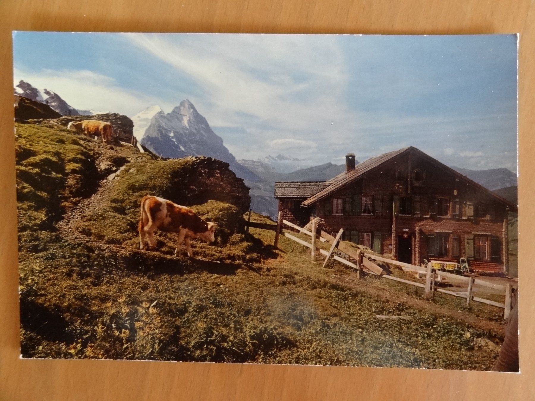 Cartoline postali: Grosse Scheidegg - Hôtel – Usato da St Léonard venduto da Riglin