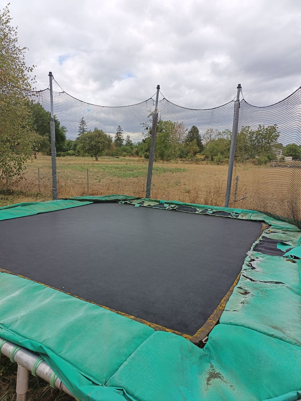 Trampoline: Trampoli Profi  – Gebraucht aus Riehen von rca_v7nq 3