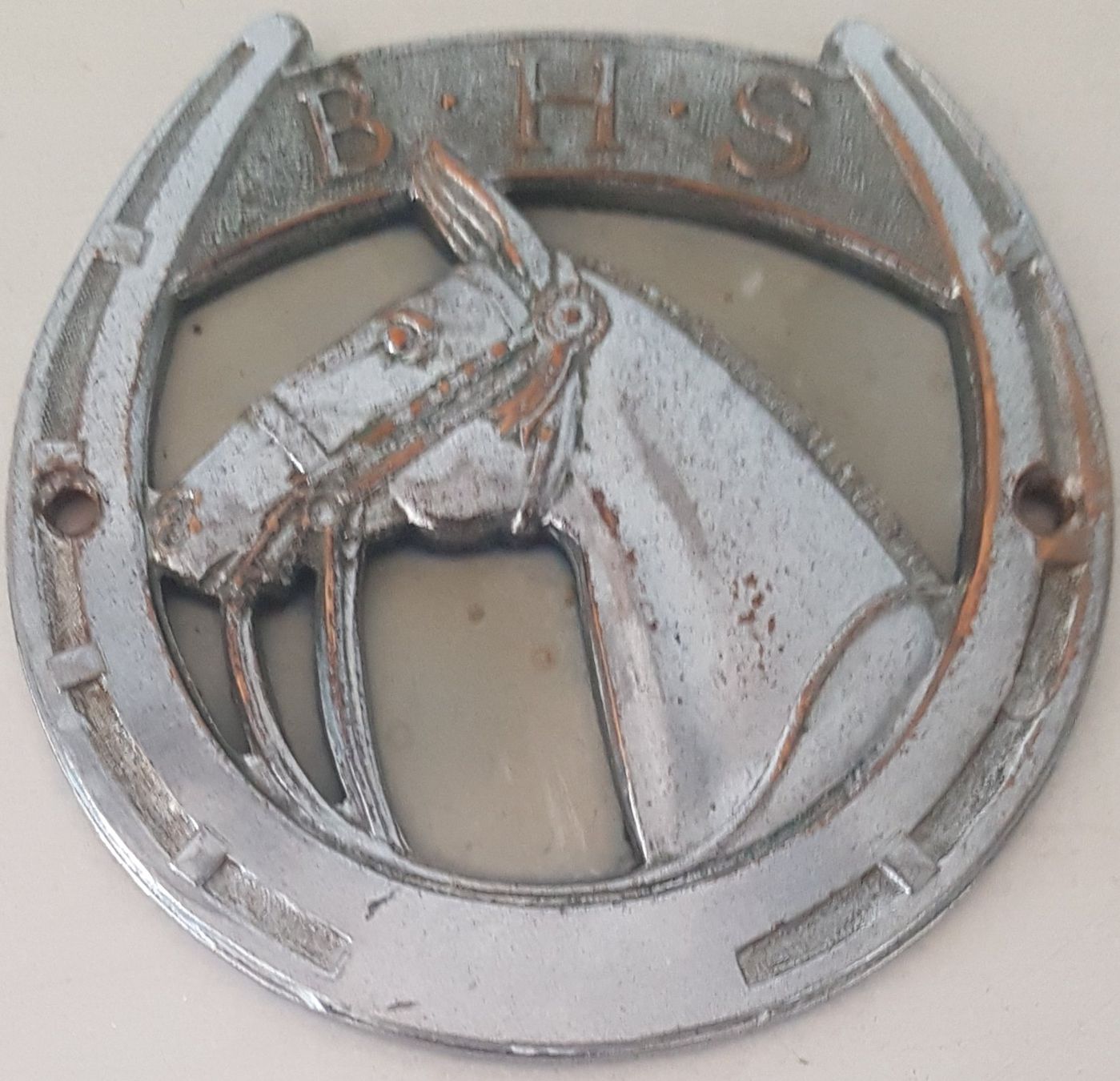 Autres accessoires pour animaux: BHS Horseshoe – D'occasion à Neuchâtel par Blondy_73