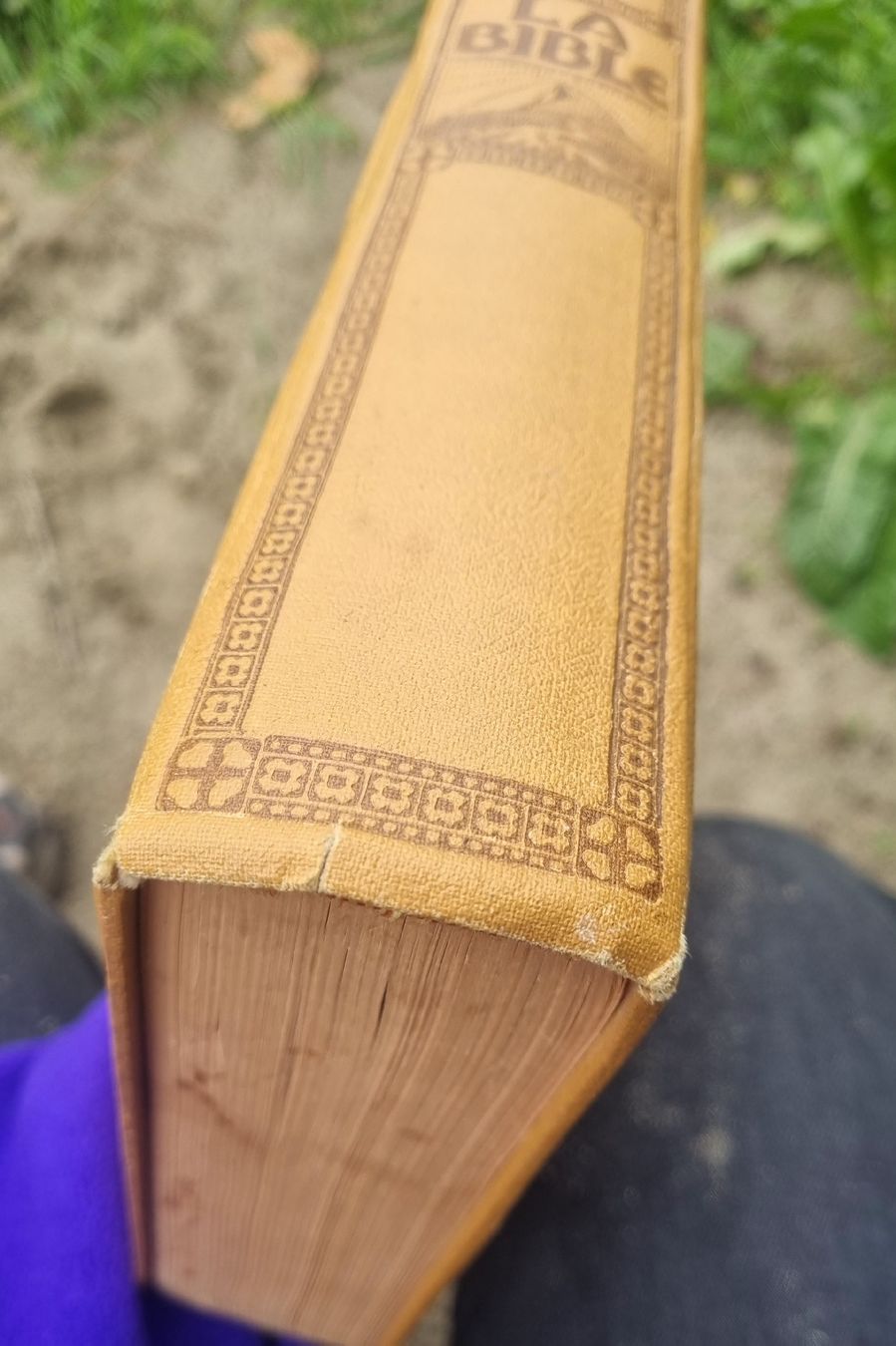 Bücher: LA BIBLE SYNODALE ÉdITION 1930 Lausanne – Gebraucht aus Fribourg von sal_5ln6 4