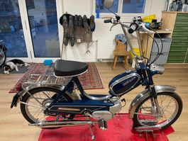 Sachs 503 DKW