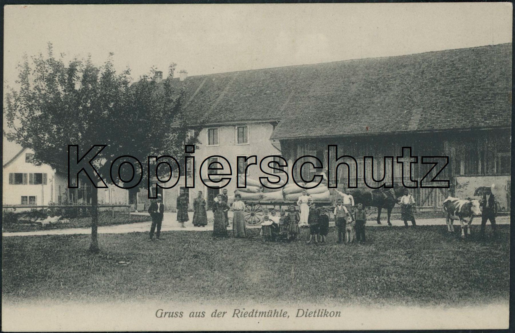 Cartoline postali: ZH Riedmühle - Dietlikon – Nuovo (secondo la descrizione) da Schindellegi venduto da leecollect