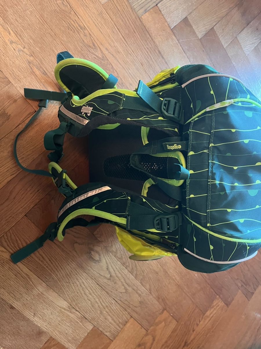 Ergobag Rucksäcke: Ergobag Rucksack Schule – Gebraucht aus Zürich von cashaya 1