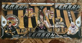 SportZoo Season Breakdown HC Ajoie 