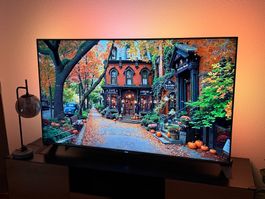 Philips 65 Zoll Full HD TV inkl. Lautsprecher & 2 3D-Brillen