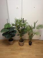 3 Kunstpflanzen Set Monstera Bambus Palme guter Zustand
