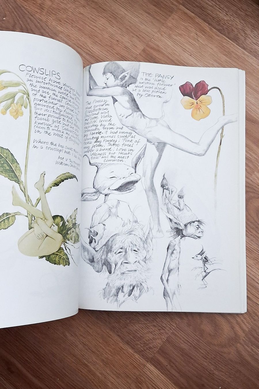Livres: Fantasy-Kunstbuch "Faeries - Anniversary Edition (2002)" – D'occasion à Kloten par Frigo_1 7