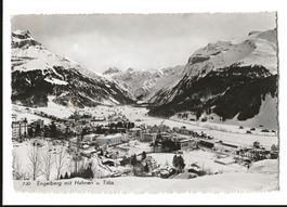 AK 1961 Engelberg Titlis , Hahnen im Winter