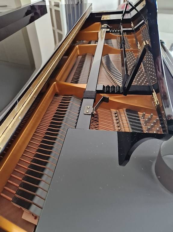 Strumenti musicali: Piano – Usato da Laconnex venduto da Duraffourd 3