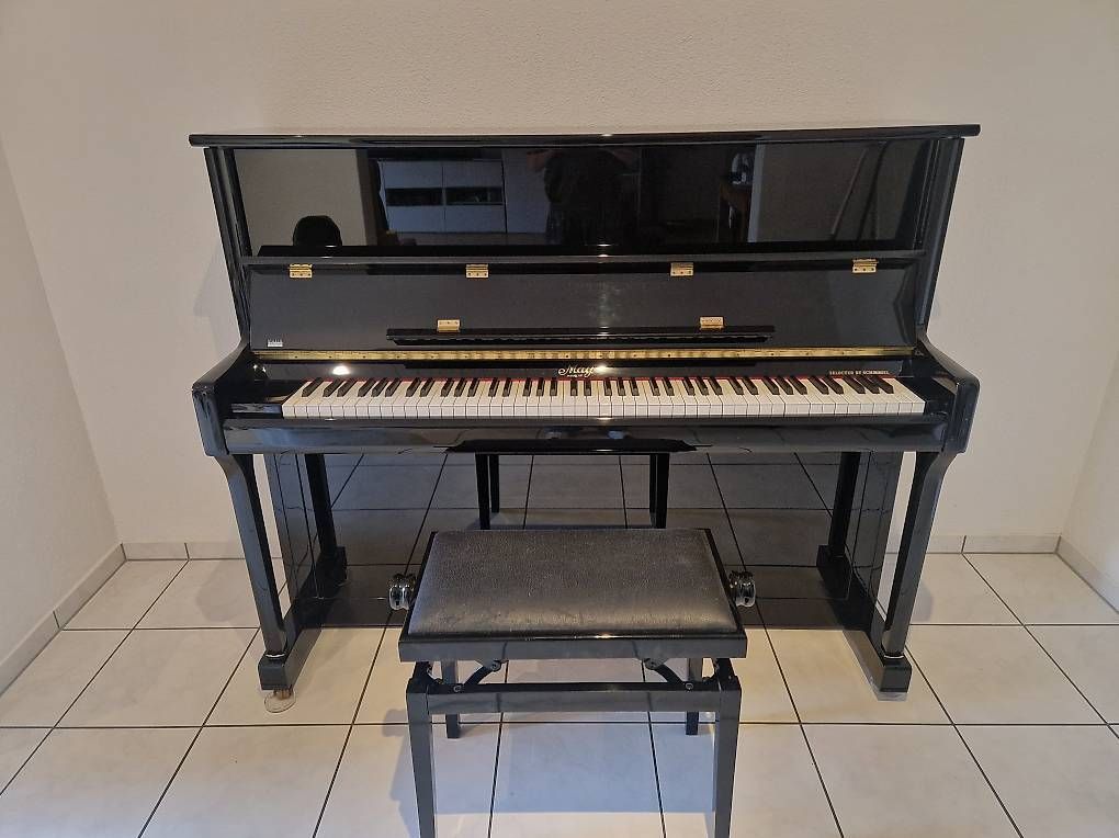 Strumenti musicali: Klavier May Berlin by Schimmel  – Usato da Luzern venduto da lambkin95