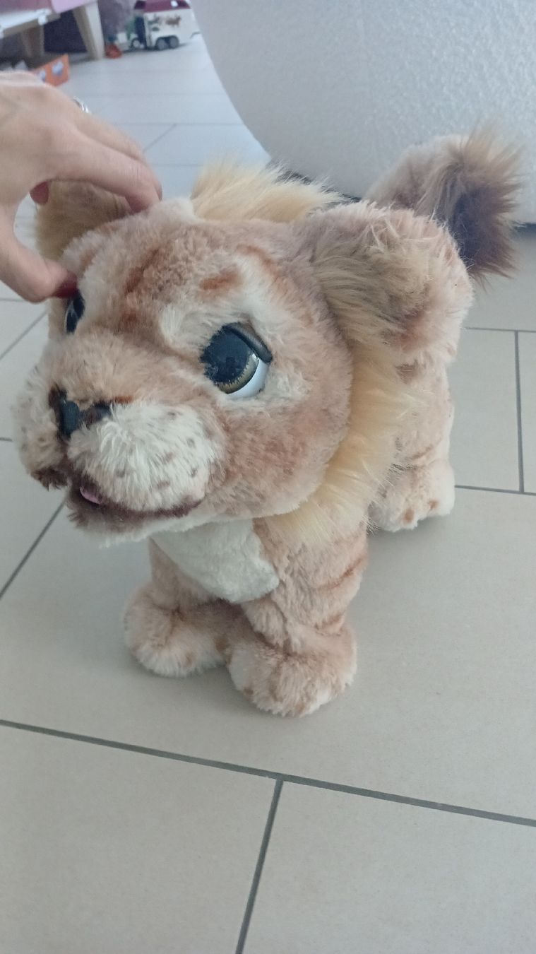 FurReal Jouets: Simba Löwe mit geräuschen  – D'occasion à Hinwil par Sabirose9