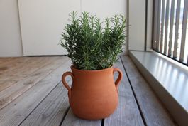 Pflanzentopf/Gartentopf/Tontopf