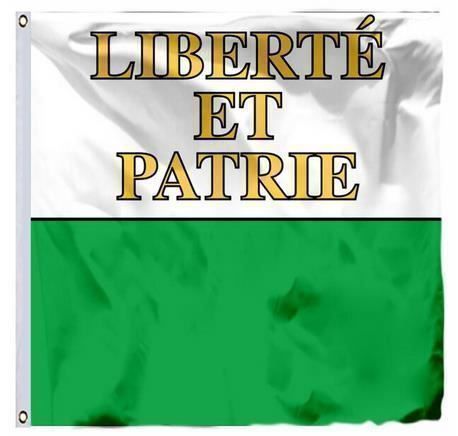Fahnen: Schweizer Flagge des Kantons Waadt 90x90cm – Neu und originalverpackt aus Gurmels von Swisspod