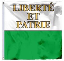 Schweizer Flagge des Kantons Waadt 90x90cm