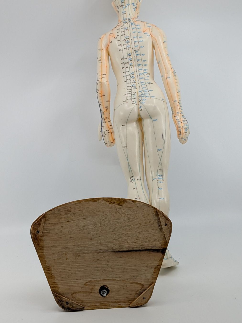 Statuette: Akupunktur Modell Figur – Usato da Emmen venduto da magelan 4