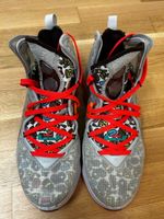 Nike LeBron 19 Grey fog Gr. 46 / US 12 - Top Zustand
