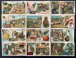 Suchard - Serie von 12 Chromobilder / Anciennes chromos 1903