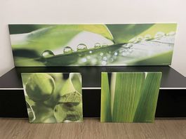 3 Bilder von Teo Jasmin, wie neu
