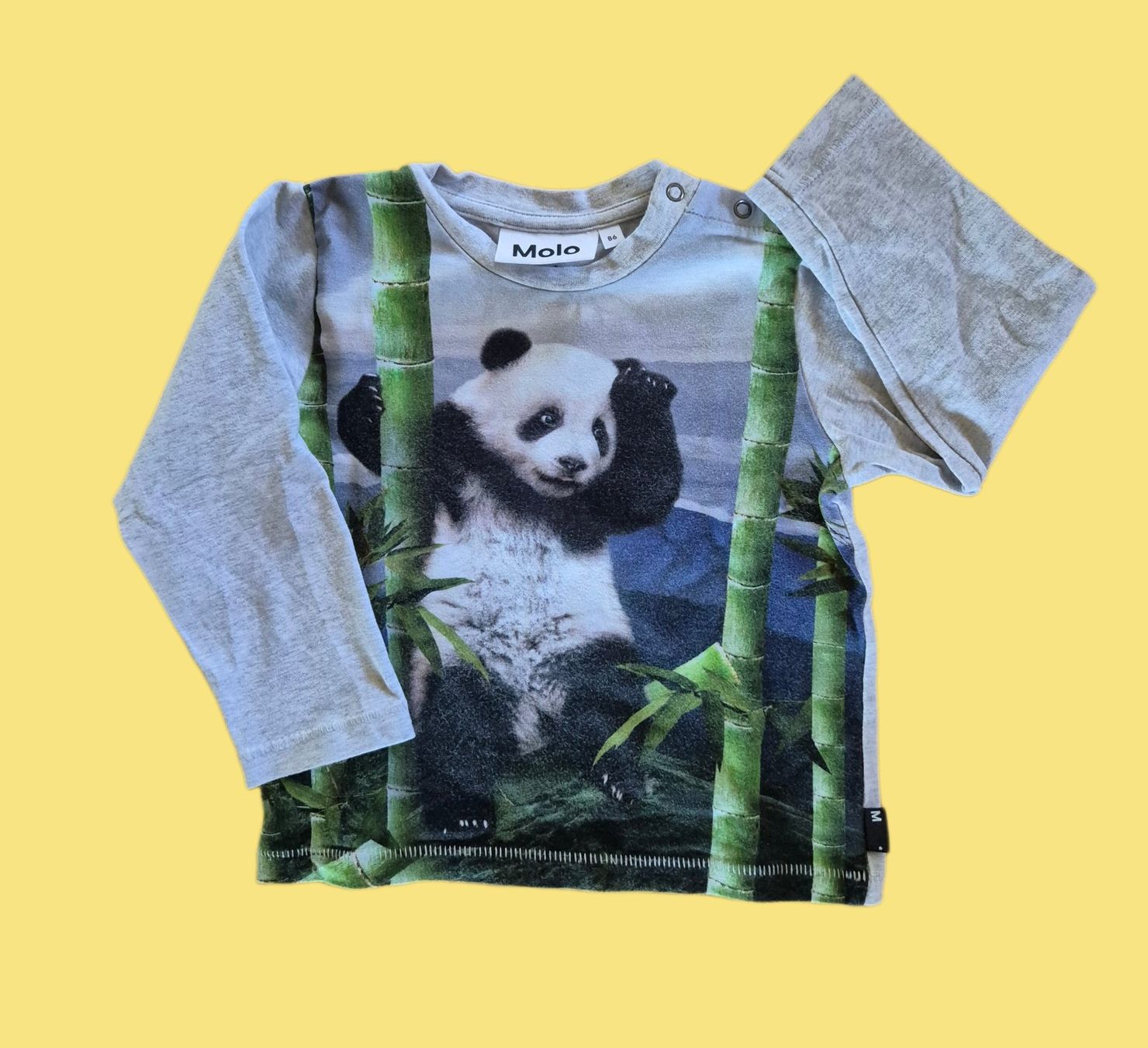 Molo Maglioni & Felpe: Molo Oberteil. Panda Bambus, Grösse 86 – Nuovo (secondo la descrizione) da Necker venduto da kre_q7d8
