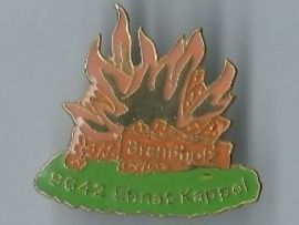 Placchette & Badge: Brandholz PIN – Usato da Zürich venduto da t24_de