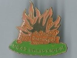 Brandholz PIN