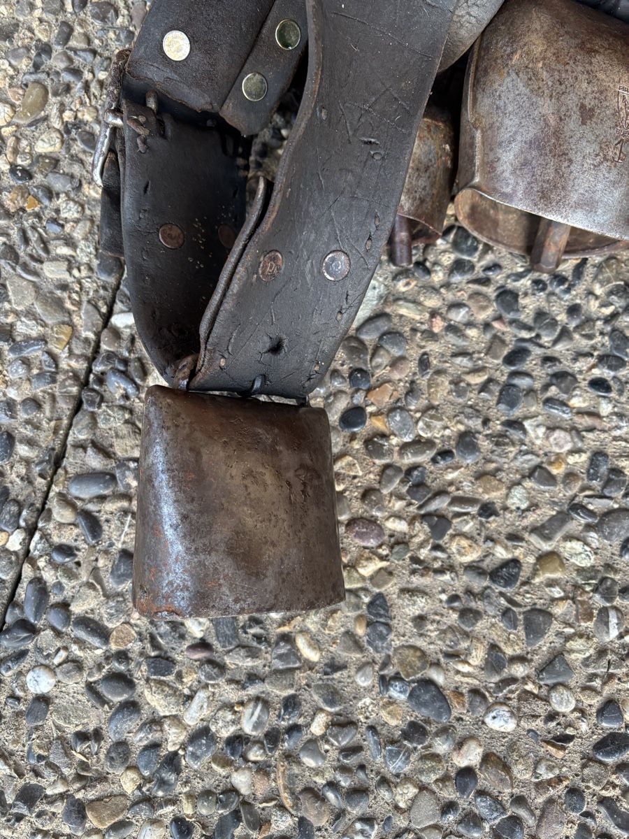 Campanacci mucche: 5 Rindertreicheln – Usato da Schangnau venduto da Roseggli82 6